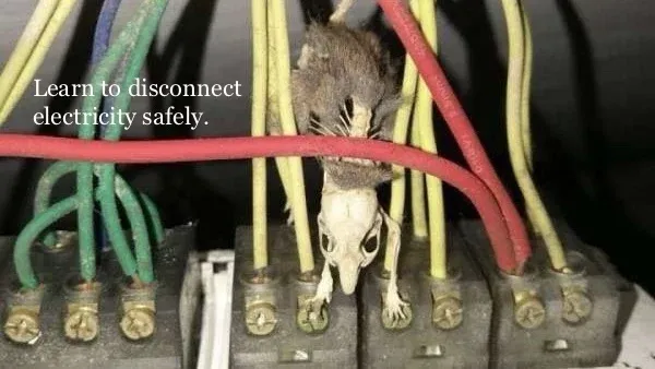 What Is a Daughter Box? Control Panel Disconnect Safety Explained